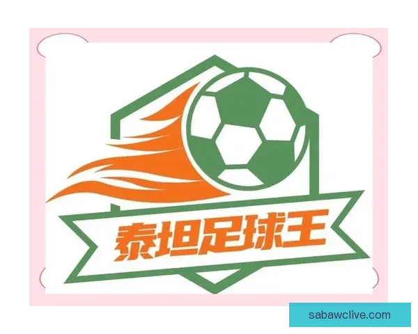 世界杯赛事预测分析及竞猜技巧全面解析，助你赢取丰厚奖金